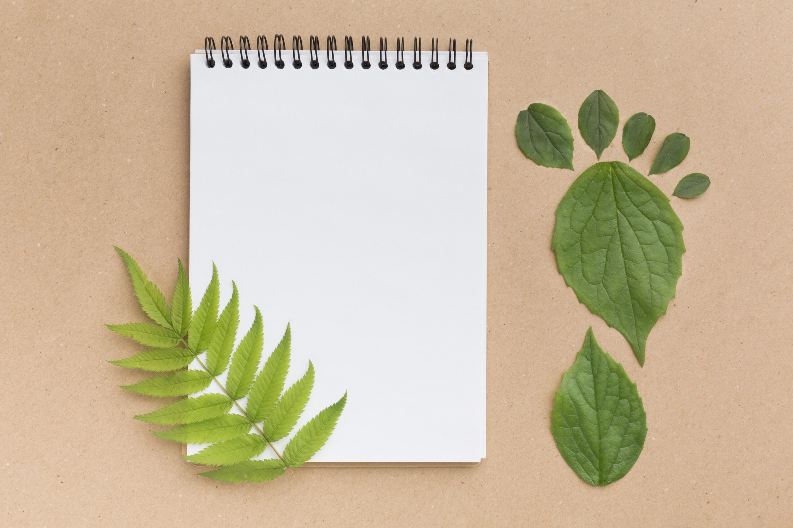 Why Sarbazo notebook with leaves scaled