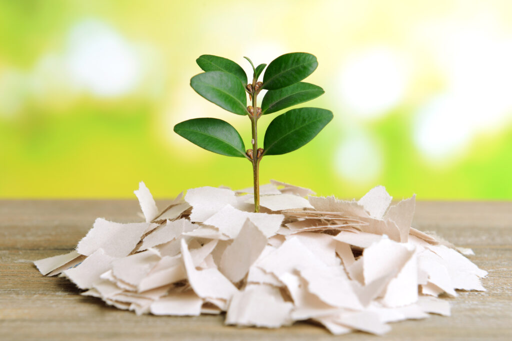 plant growing from paper table bright background
